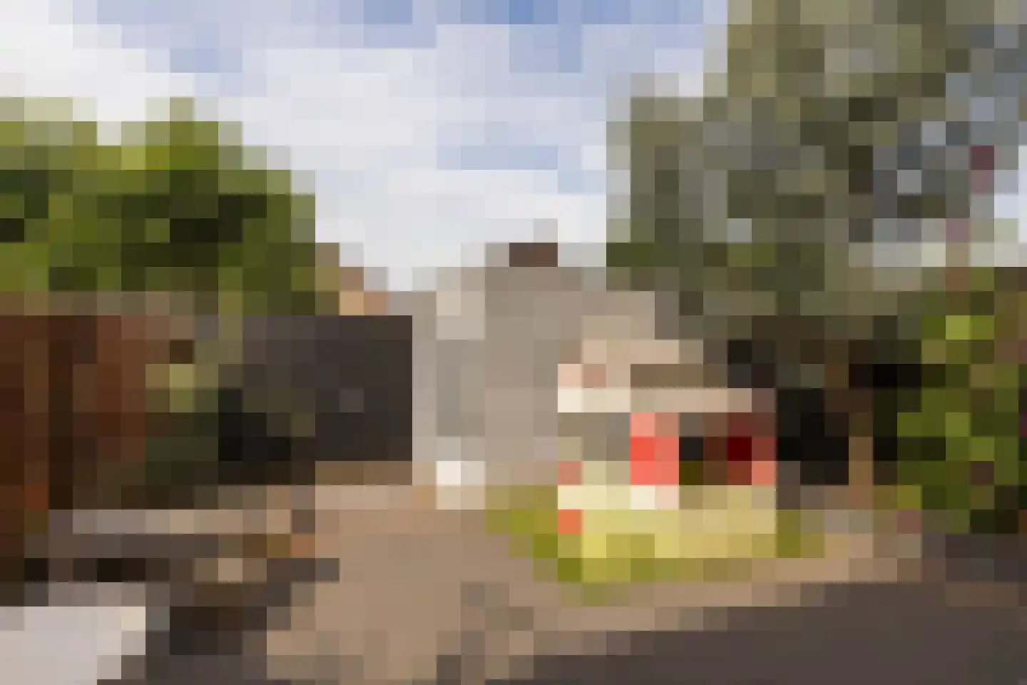 Spechthof 7 Elsloo thumbnail 39
