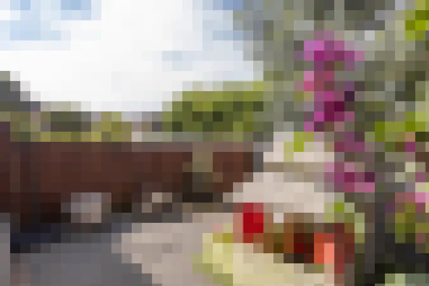 Spechthof 7 Elsloo thumbnail 40