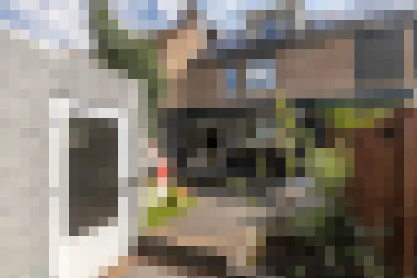 Spechthof 7 Elsloo thumbnail 41