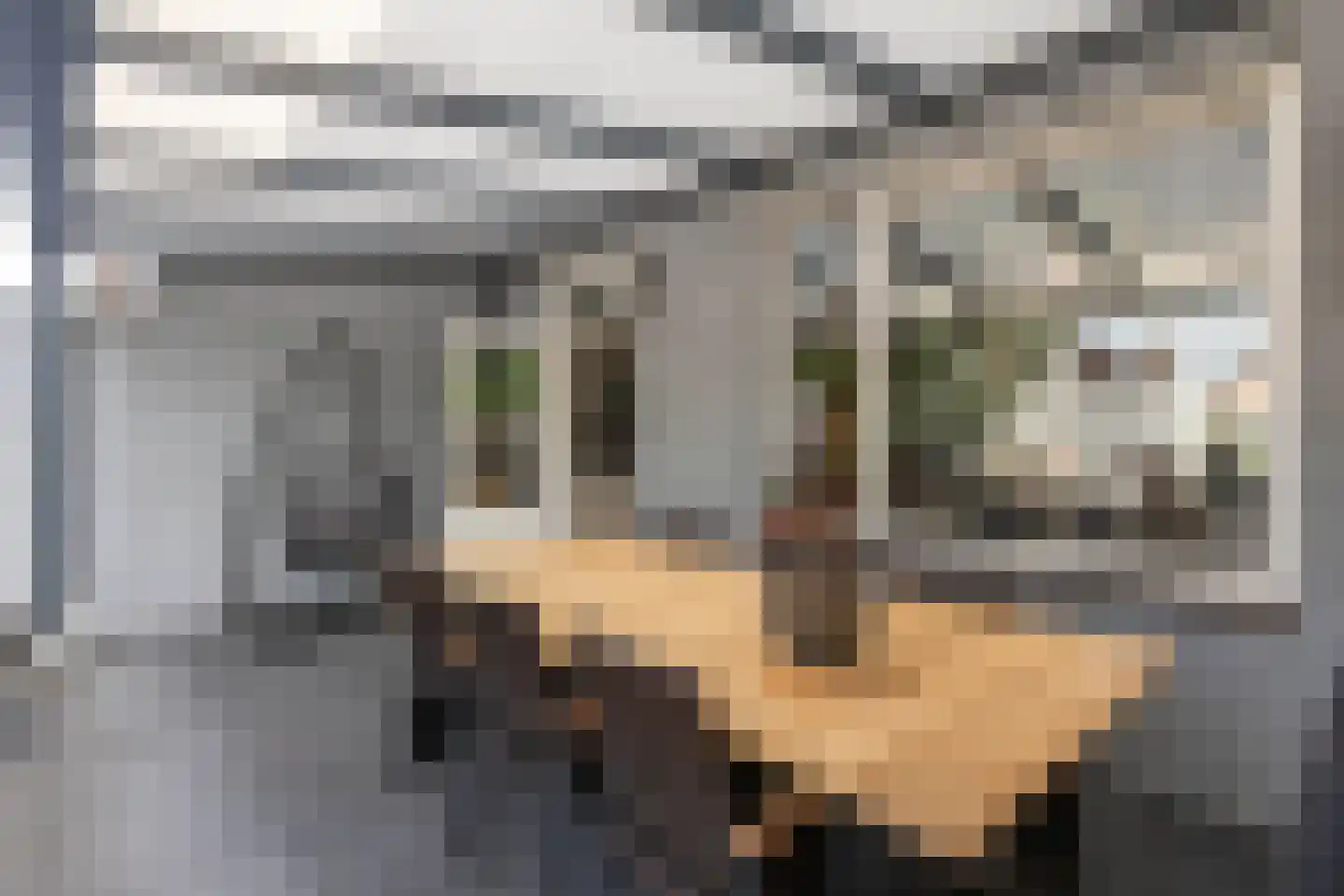 Spechthof 7 Elsloo thumbnail 43