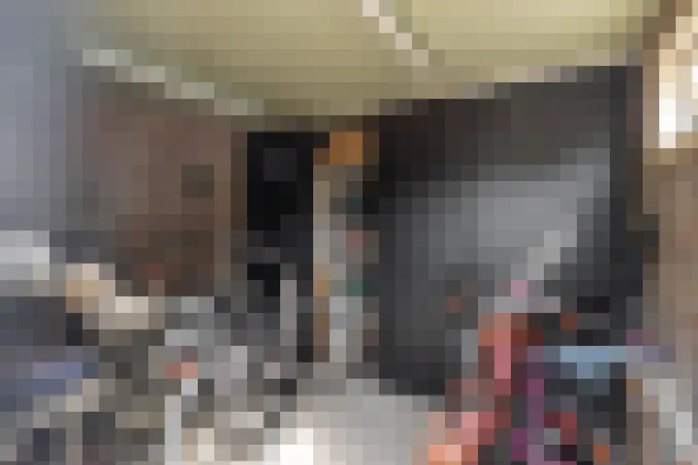 Spechthof 7 Elsloo thumbnail 44