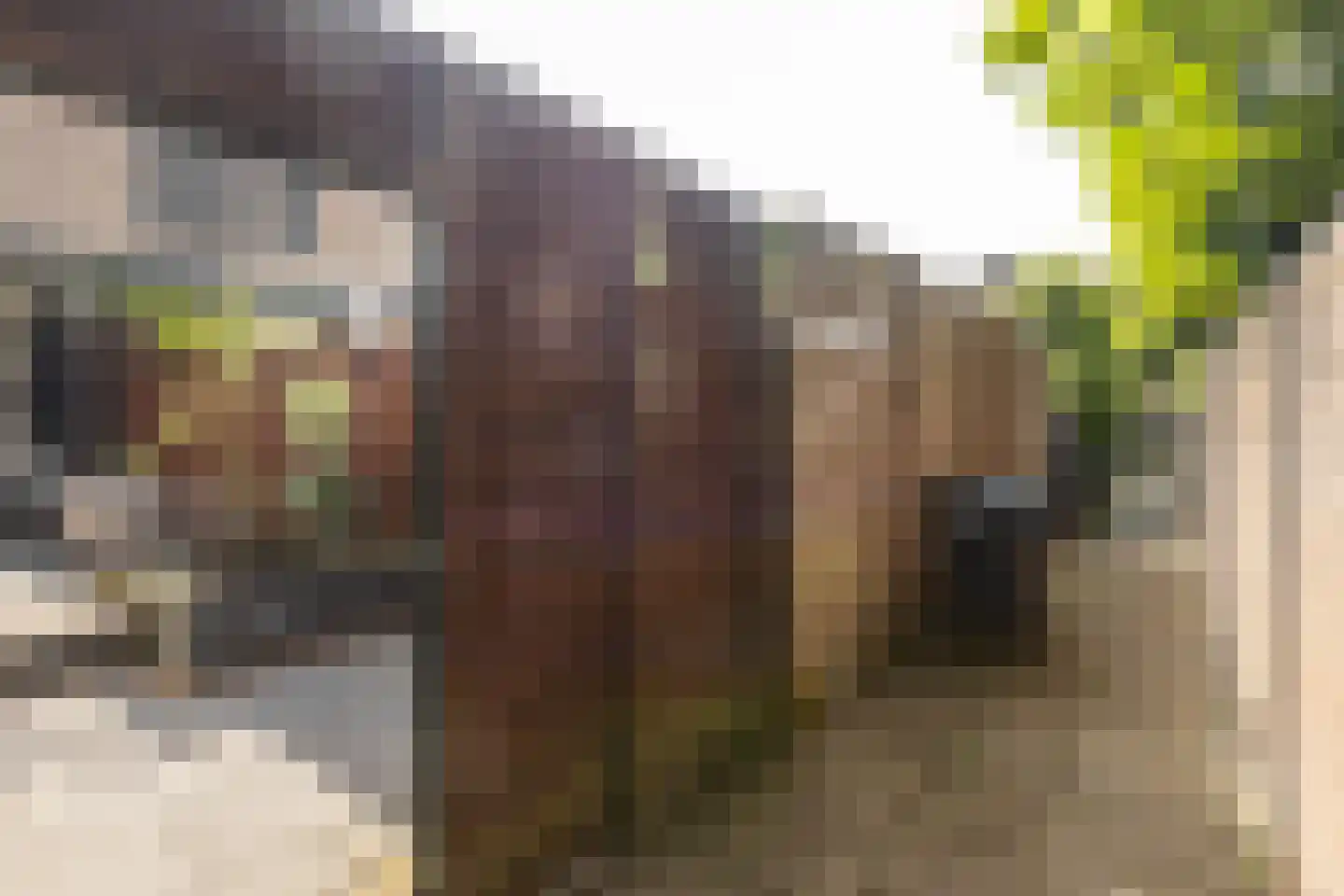 Spechthof 7 Elsloo thumbnail 45