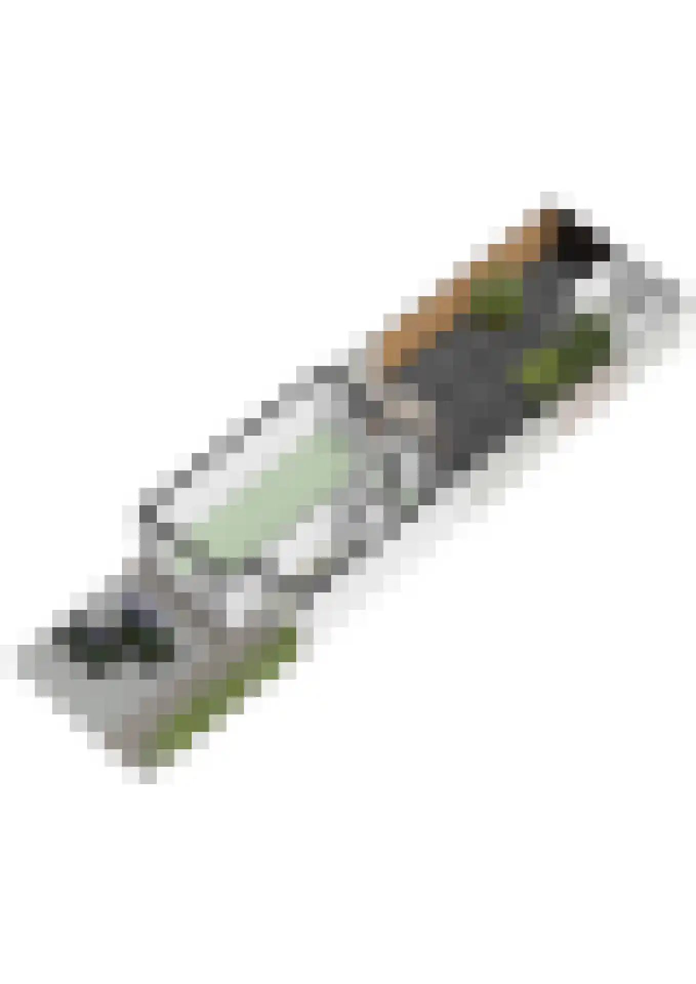 Spechthof 7 Elsloo thumbnail 48