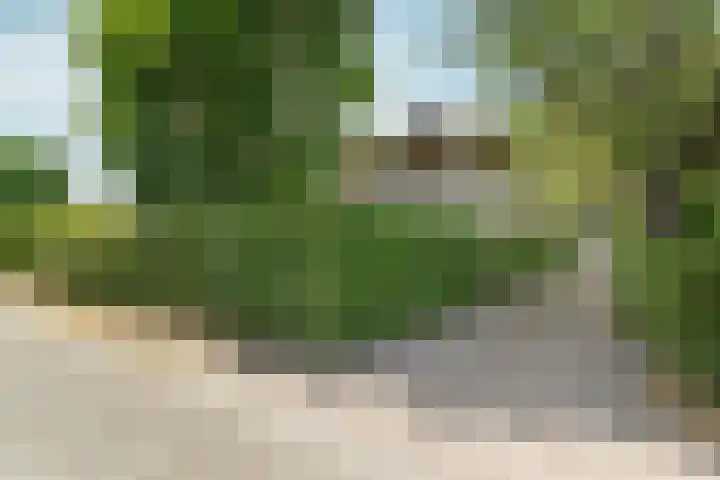 Spechtlaan 11 Almere thumbnail 10