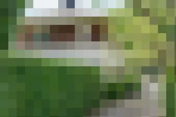 Spechtlaan 11 Almere thumbnail 11