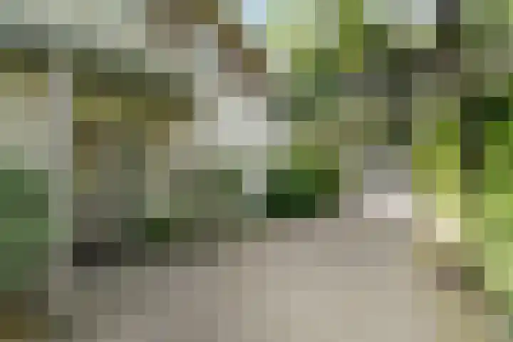 Spechtlaan 11 Almere thumbnail 12