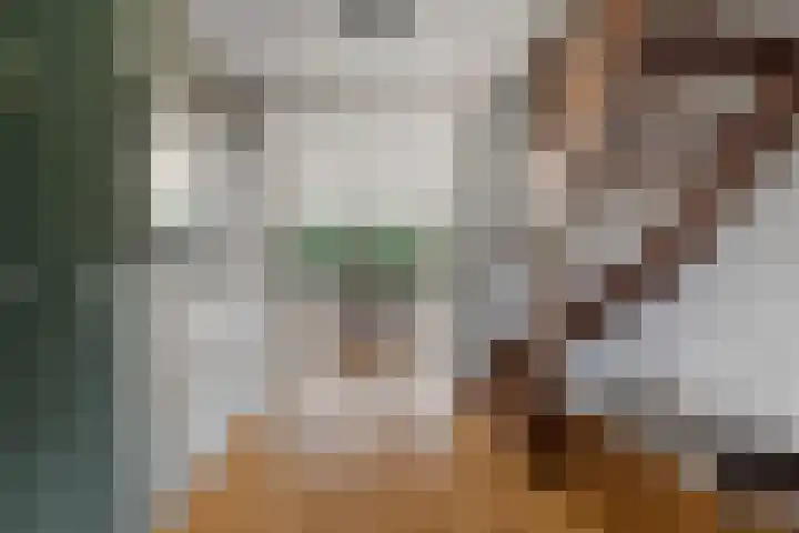 Spechtlaan 11 Almere thumbnail 14
