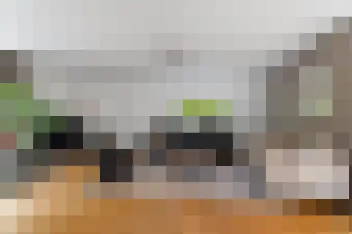 Spechtlaan 11 Almere thumbnail 16
