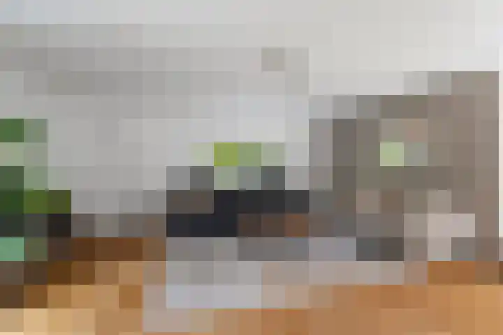 Spechtlaan 11 Almere thumbnail 17