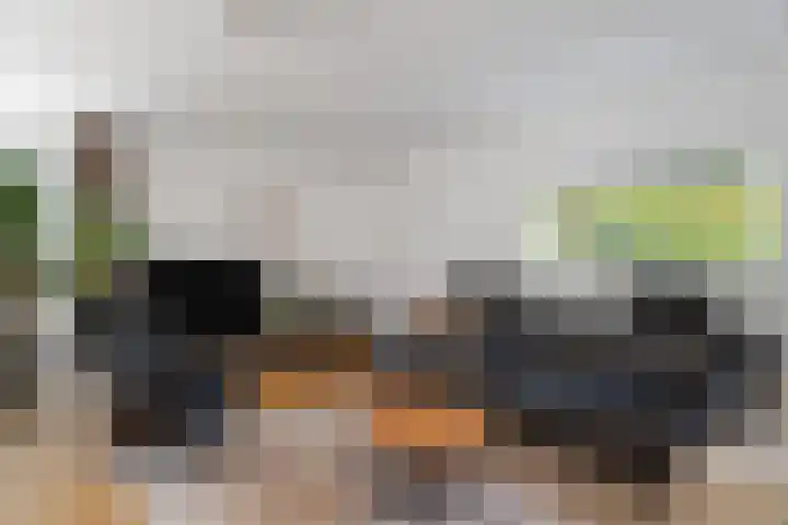 Spechtlaan 11 Almere thumbnail 18