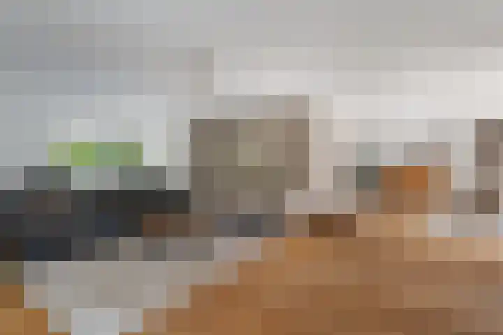 Spechtlaan 11 Almere thumbnail 19