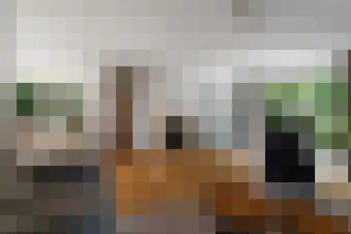 Spechtlaan 11 Almere thumbnail 21