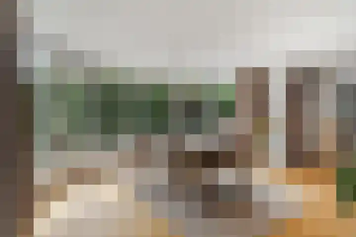 Spechtlaan 11 Almere thumbnail 25