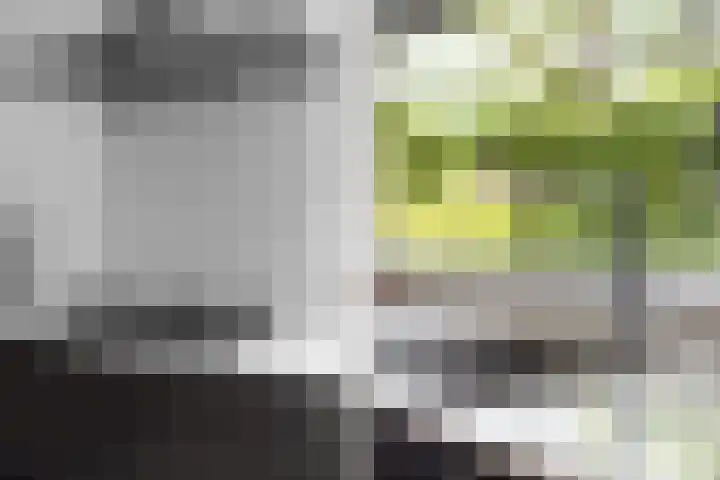 Spechtlaan 11 Almere thumbnail 29