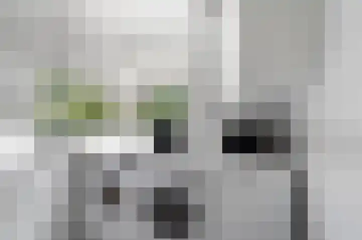 Spechtlaan 11 Almere thumbnail 31