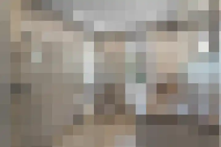 Spechtlaan 11 Almere thumbnail 4