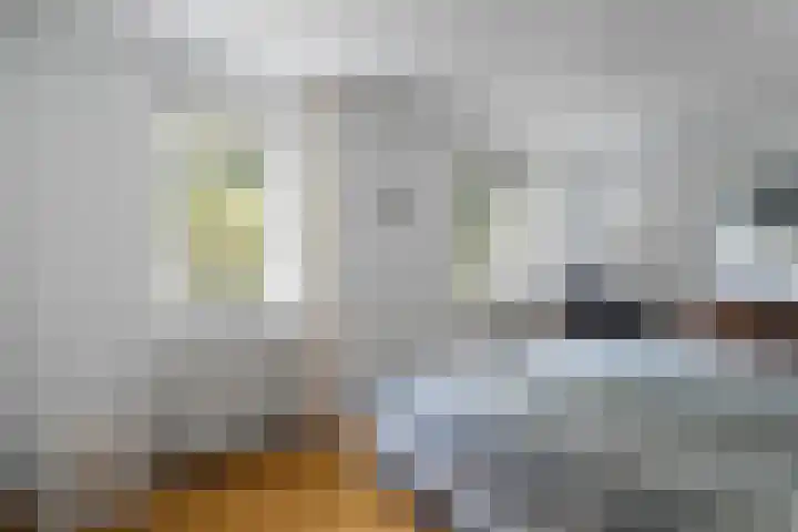 Spechtlaan 11 Almere thumbnail 41
