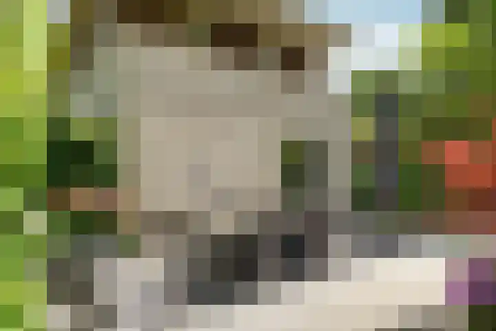 Spechtlaan 11 Almere thumbnail 49
