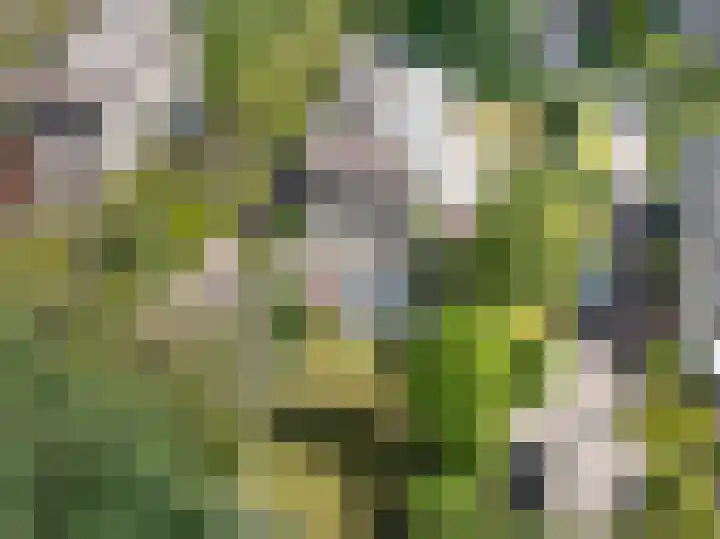 Spechtlaan 11 Almere thumbnail 5