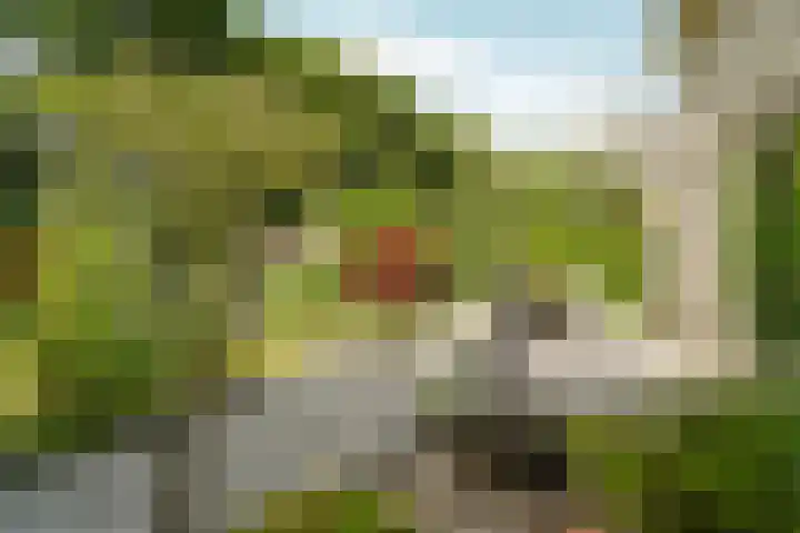 Spechtlaan 11 Almere thumbnail 51