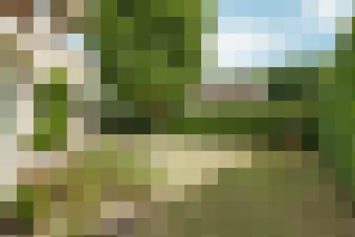 Spechtlaan 11 Almere thumbnail 52