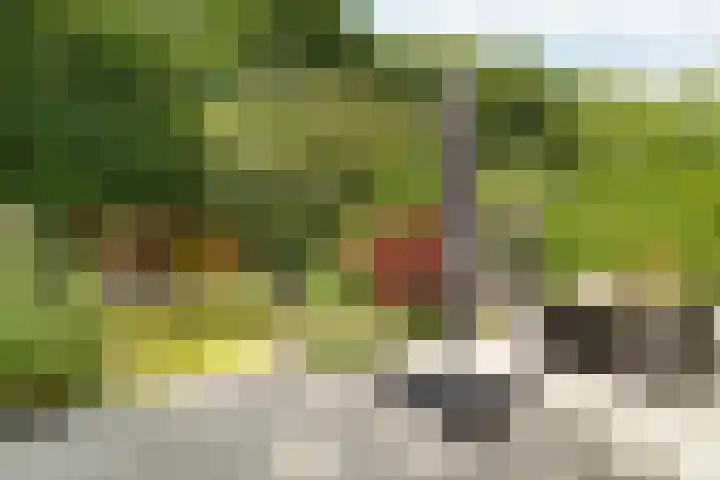 Spechtlaan 11 Almere thumbnail 56