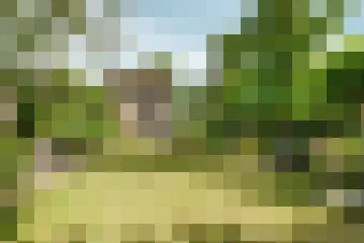 Spechtlaan 11 Almere thumbnail 57