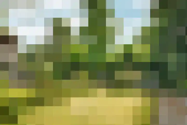 Spechtlaan 11 Almere thumbnail 59