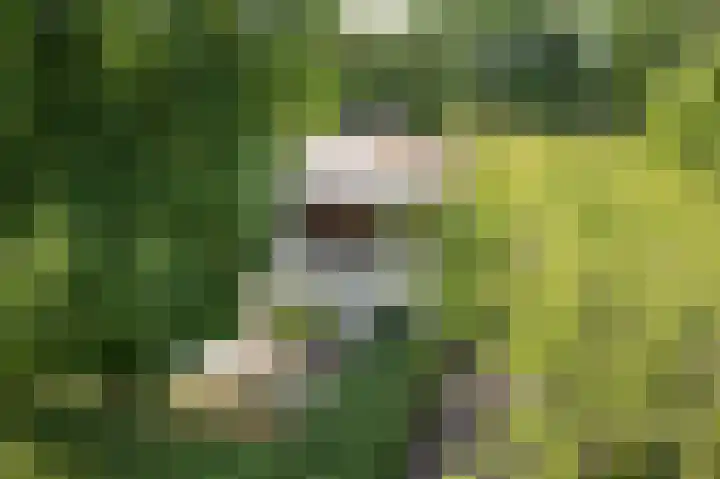 Spechtlaan 11 Almere thumbnail 6