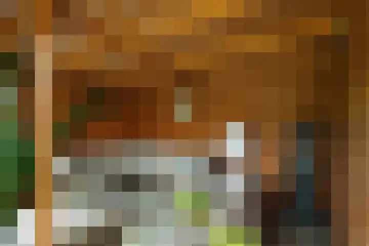 Spechtlaan 11 Almere thumbnail 61