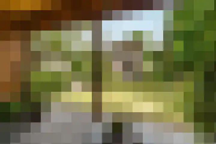 Spechtlaan 11 Almere thumbnail 63