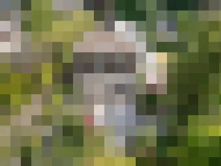 Spechtlaan 11 Almere thumbnail 64