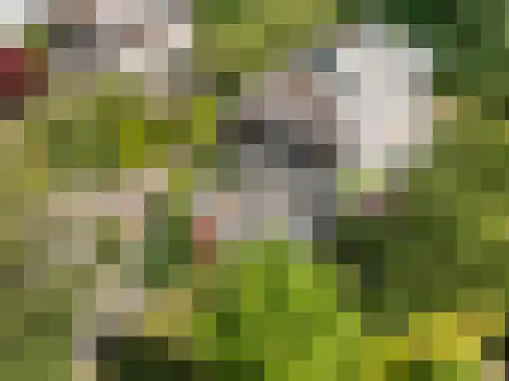 Spechtlaan 11 Almere thumbnail 65