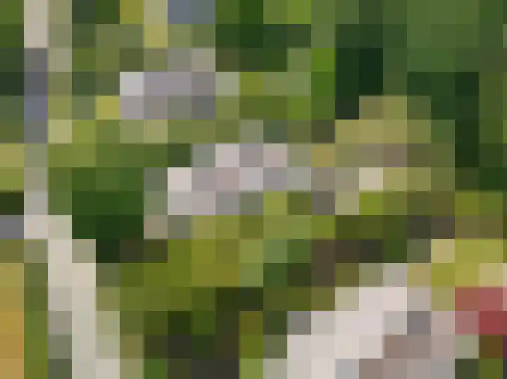 Spechtlaan 11 Almere thumbnail 66