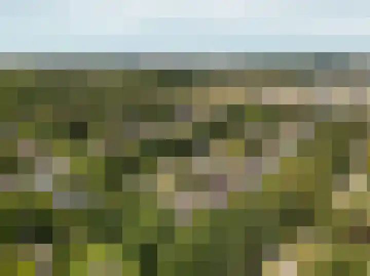 Spechtlaan 11 Almere thumbnail 69