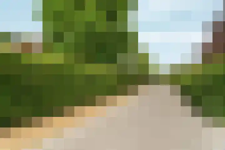 Spechtlaan 11 Almere thumbnail 7