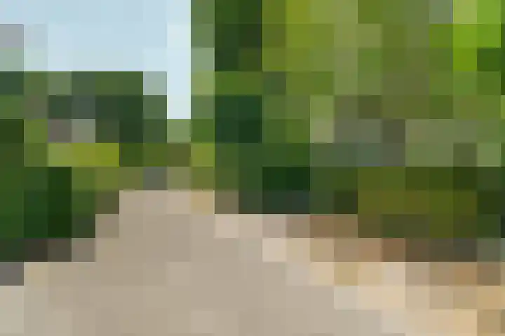 Spechtlaan 11 Almere thumbnail 8