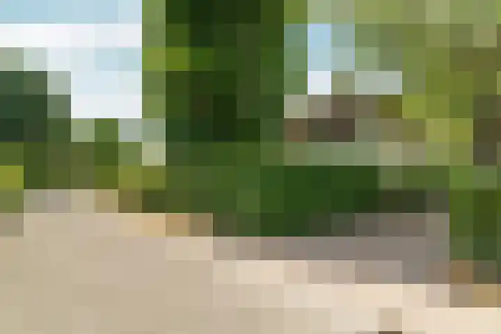Spechtlaan 11 Almere thumbnail 9