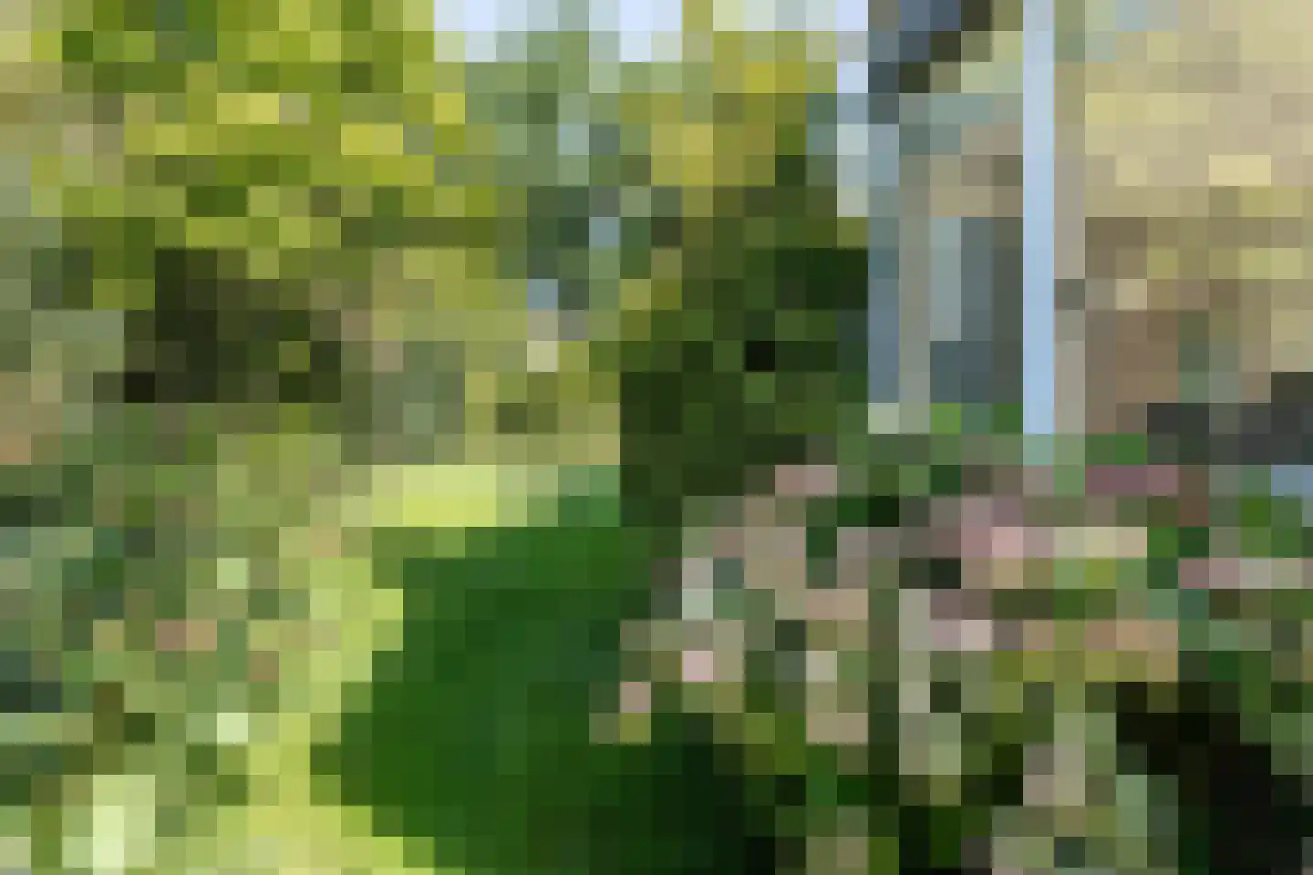 Spechtlaan 15 Aerdenhout thumbnail 26