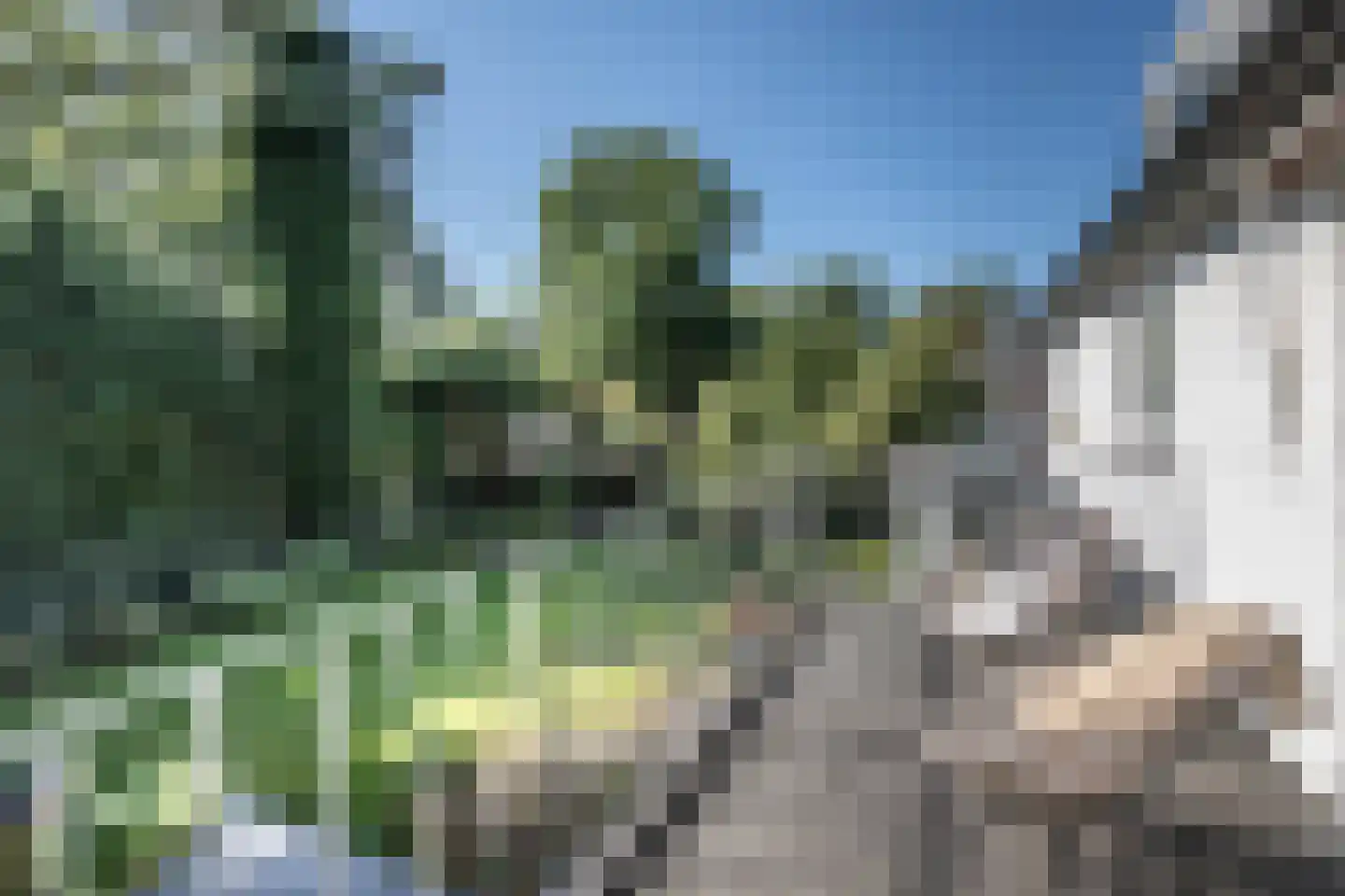 Spechtlaan 15 Aerdenhout thumbnail 35