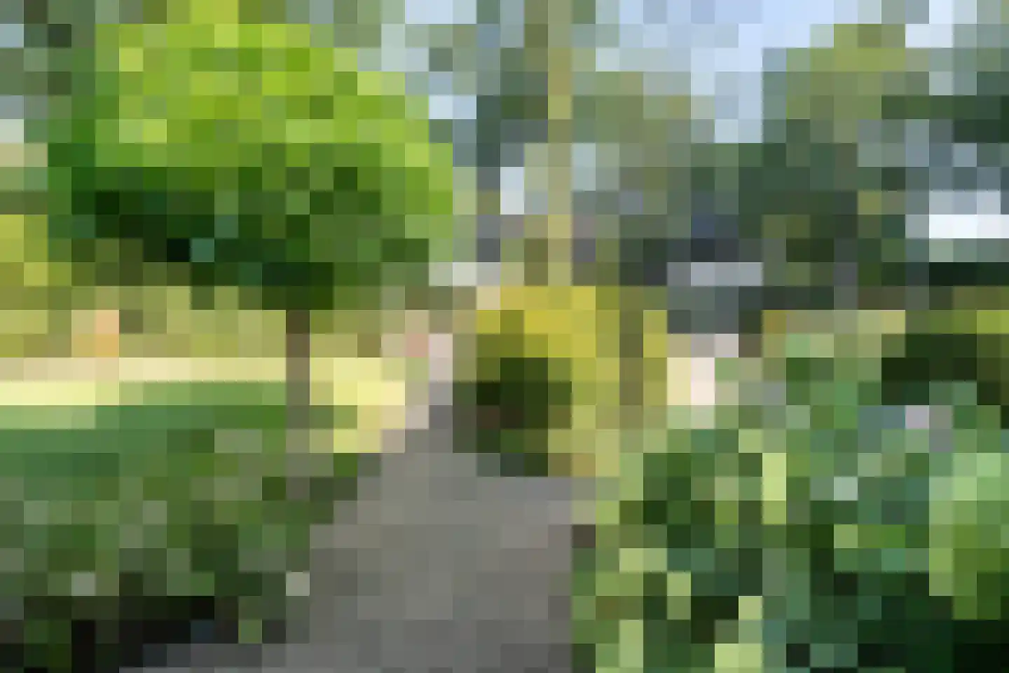Spechtlaan 15 Aerdenhout thumbnail 5