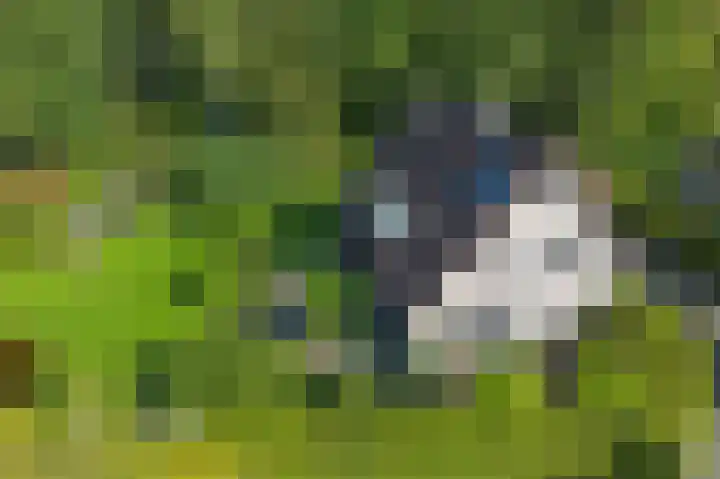 Spechtlaan 16 Almere foto 2