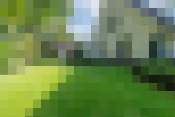 Spechtlaan 16 Almere thumbnail 55