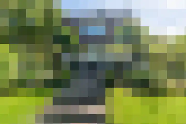 Spechtlaan 16 Almere thumbnail 61