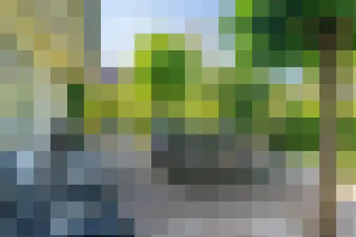 Spechtlaan 16 Almere thumbnail 63
