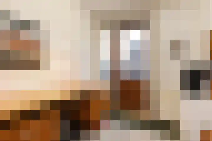 Spechtlaan 2 Leidschendam thumbnail 21