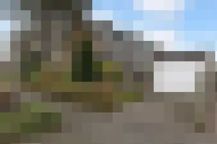 Spechtlaan 2 Leidschendam thumbnail 36