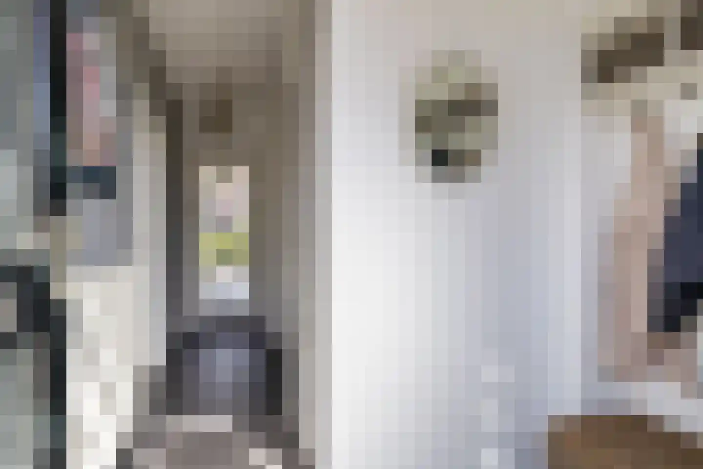 Spechtlaan 20 Maartensdijk thumbnail 4