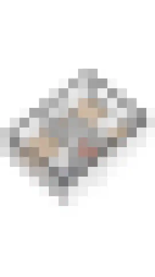 Spechtlaan 20 Maartensdijk thumbnail 48