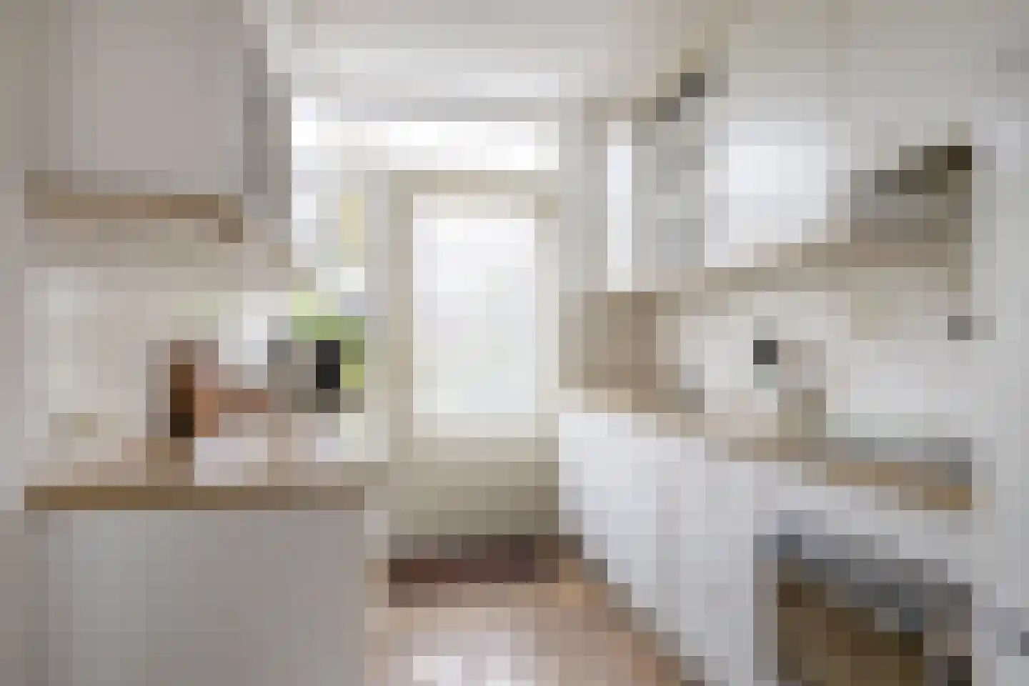 Spechtlaan 22 Maartensdijk thumbnail 11